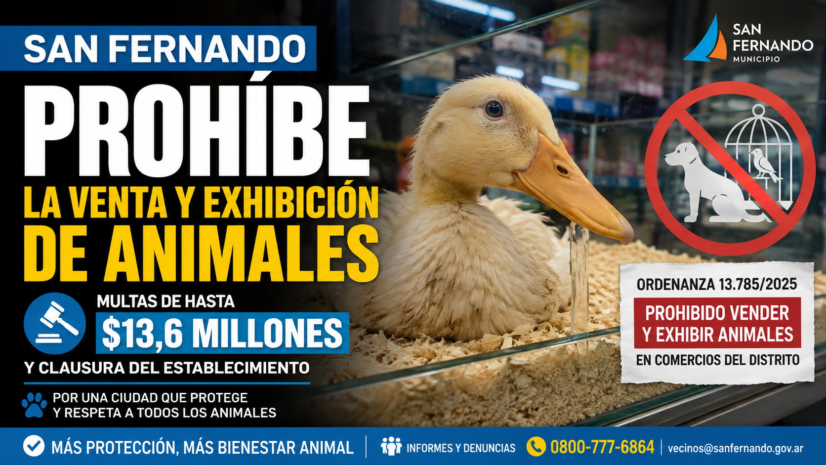 San Fernando prohíbe la venta y exhibición de animales en comercios y establece multas de hasta $13,6 millones