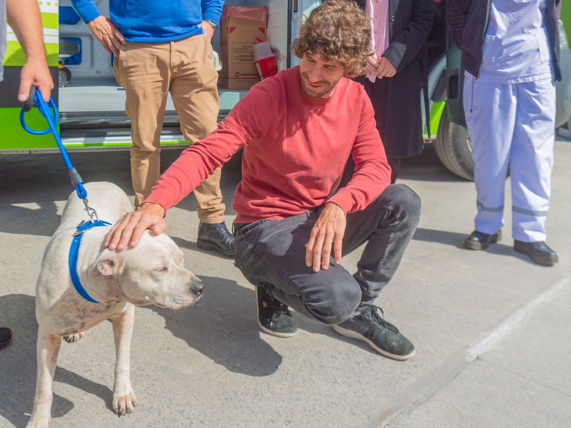 San Fernando prohibió a los criaderos de mascotas y la venta de animales en comercios